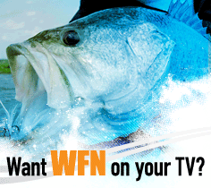 GET WFN