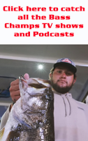 watch basschamps tv online
